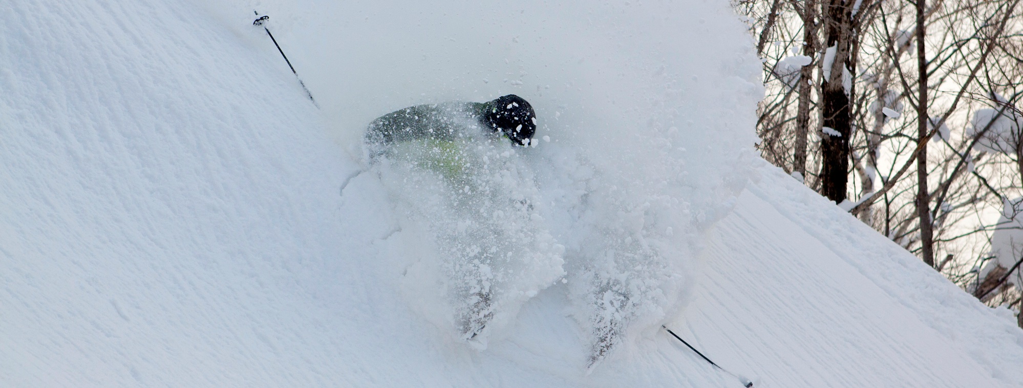 Cat Skiing Pow